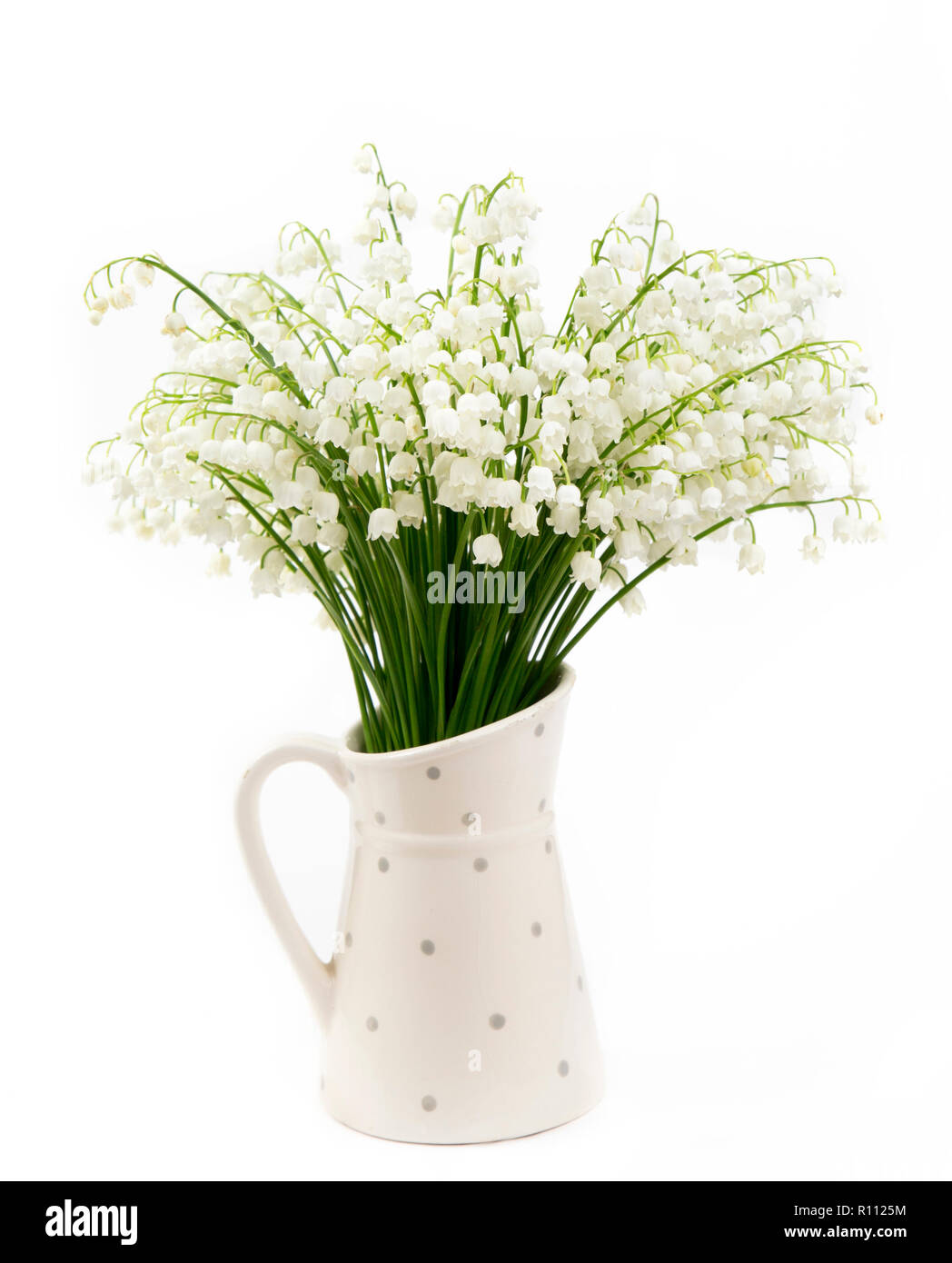 Bouquet of white flowers Lily of the valley (Convallaria majalis) also called: May bells, Our Lady's tears and Mary's tears in a white dotted jug shap Stock Photo