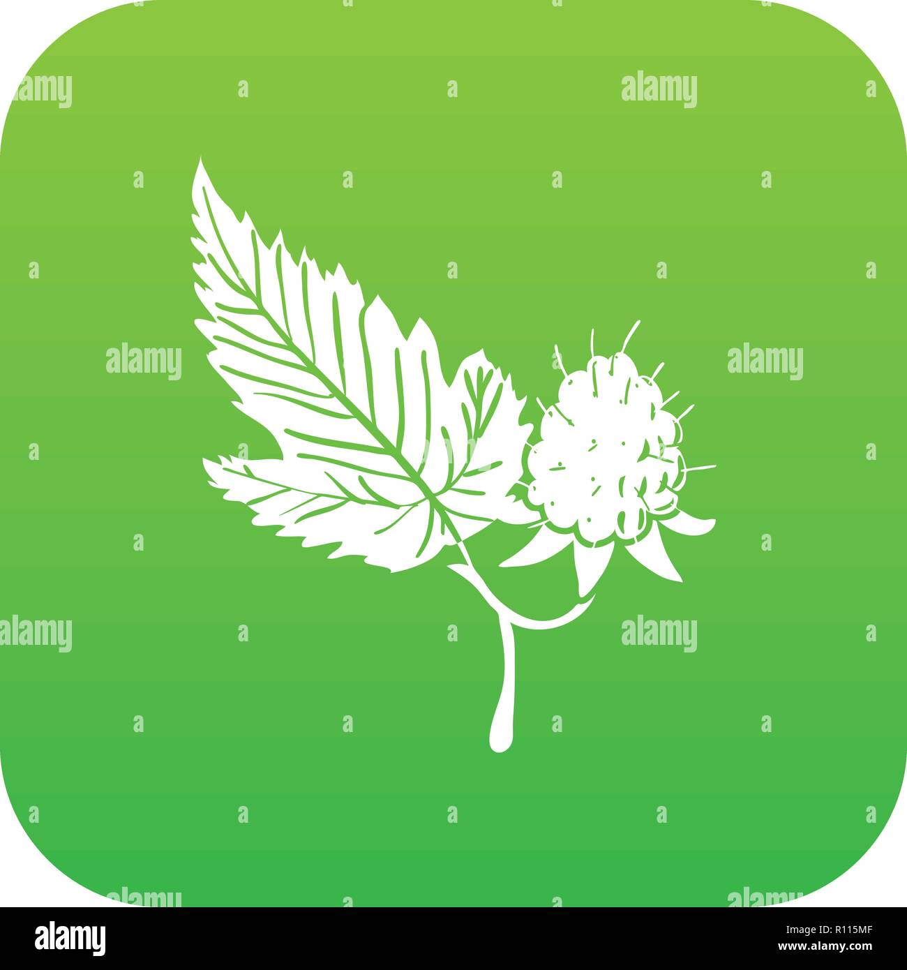 Raspberry icon green vector Stock Vector Image & Art - Alamy