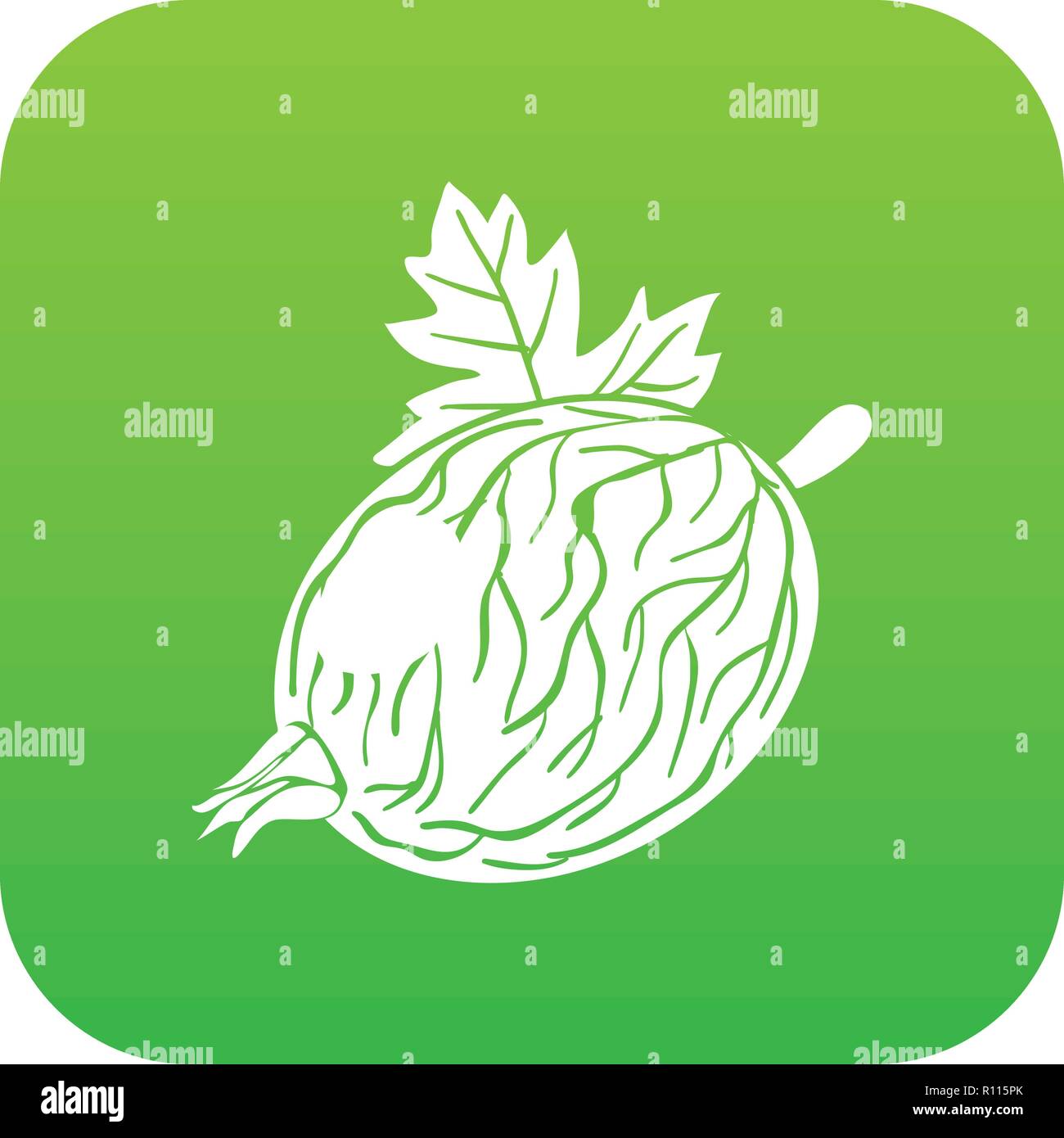 Gooseberry icon green vector Stock Vector