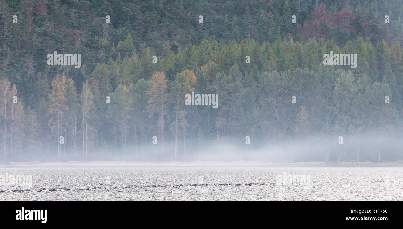 Early morning mist alongside the lake, scenes travelling up Quesnel Lake by boat towards the Cariboo Mountains Park, British Columbia, Canada Stock Photo
