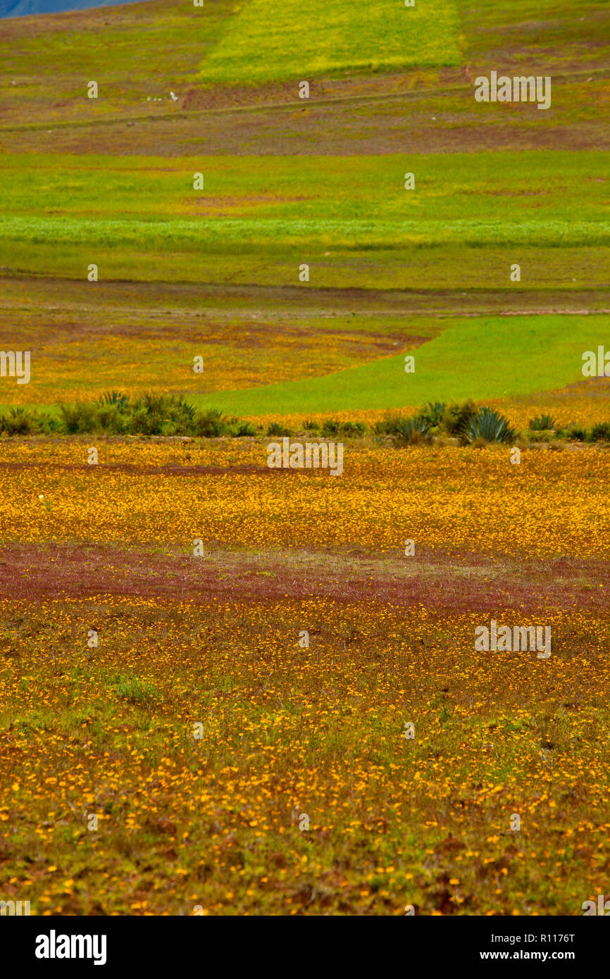 Peru landscapes in andes hi-res stock photography and images - Alamy
