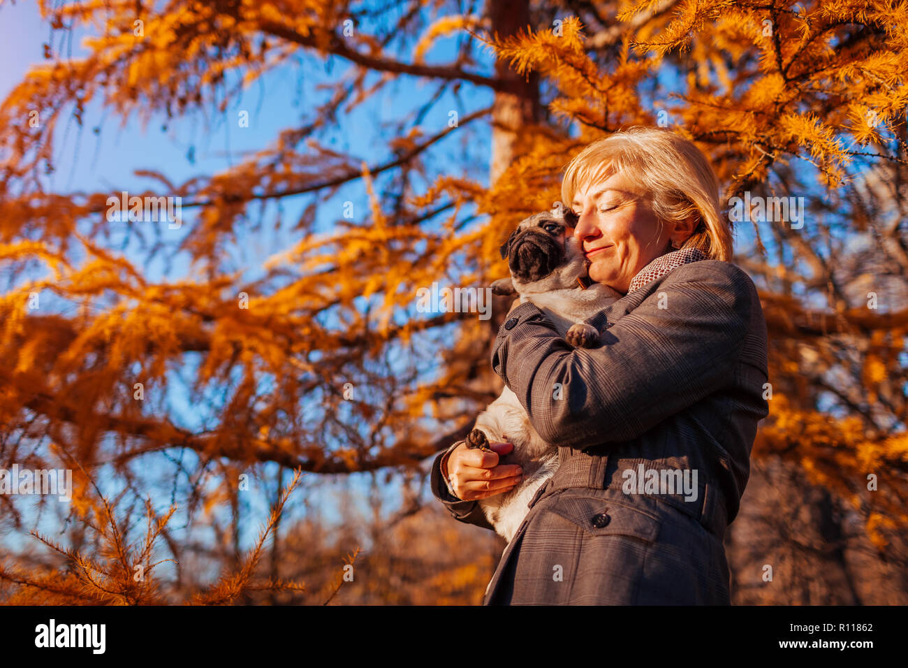 Master walking pug dog in autumn park. Happy woman hugging pet. Stock Photo