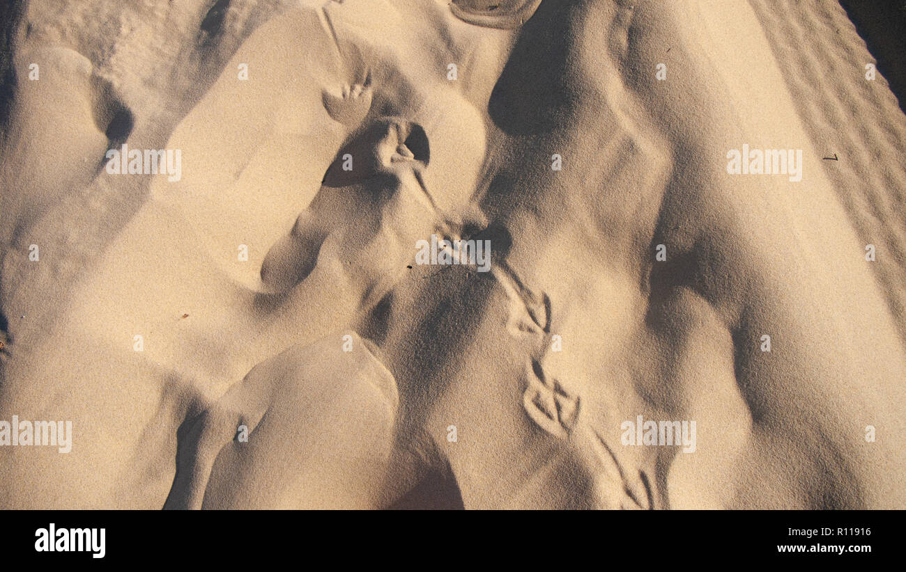 Footprints in the sand Stock Photo