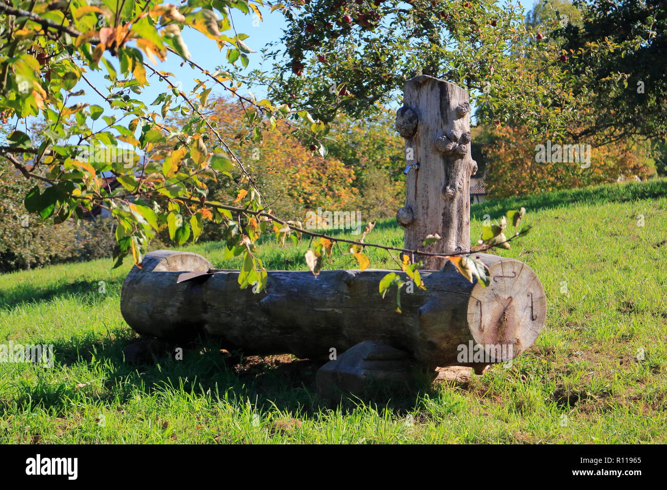 Alter Brunnen aus Holz im öffentlichen Obstgut, und Naerholungsgebiet Lichtental, Baden-Baden Stock Photo