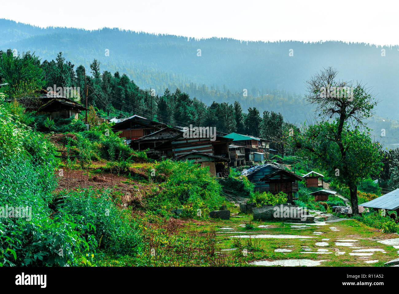 A Traditional Himalayan Wooden Houses in Sankri Range, Uttrakhand