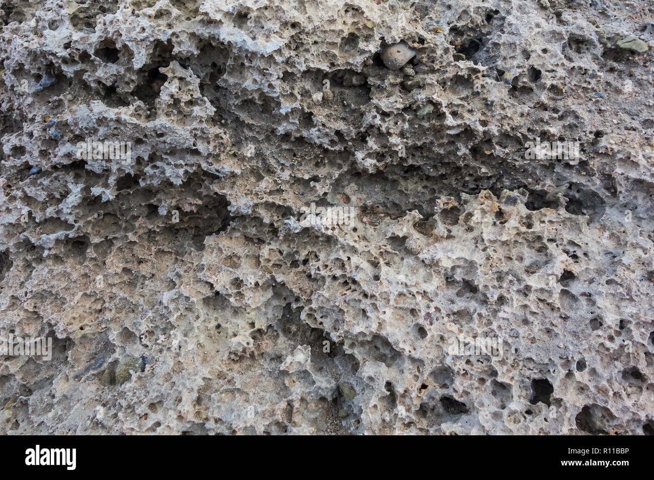 Porous natural structure of the stone. Texture rakushnjak or coquina