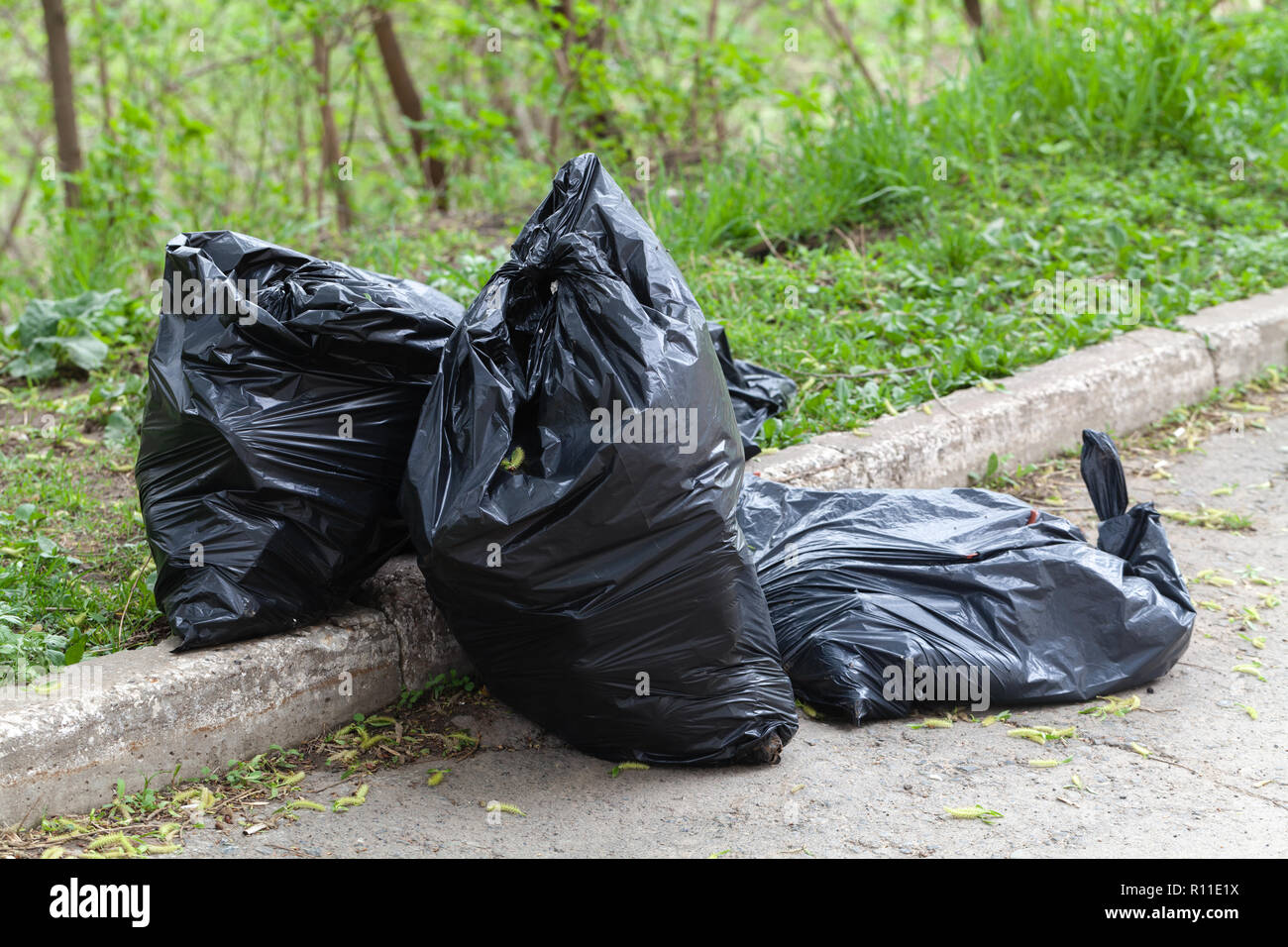 The big black plastic bags with garbage waste in forest Stock Photo - Alamy