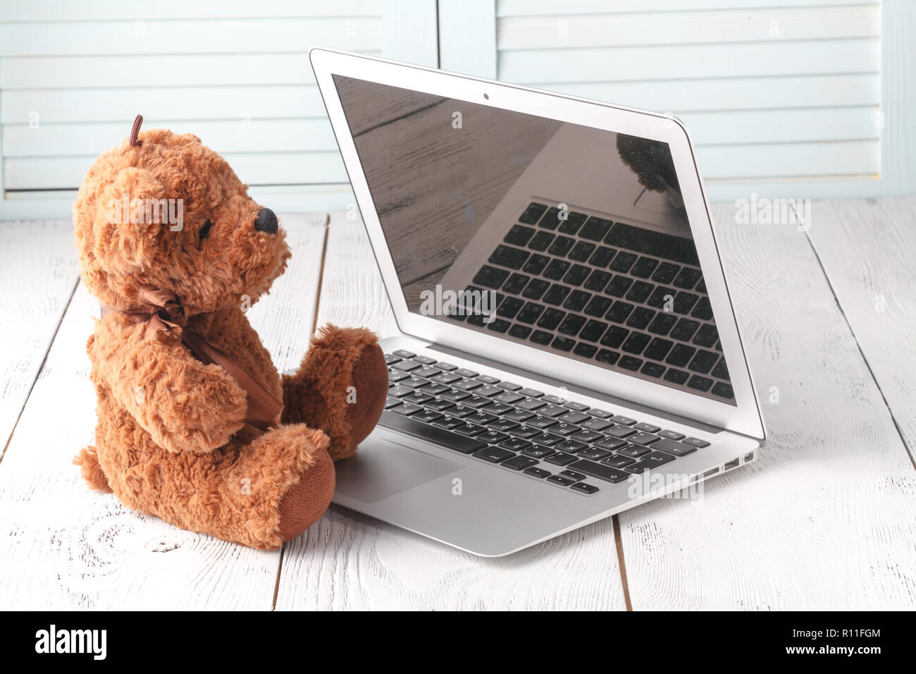 modern teddy bear