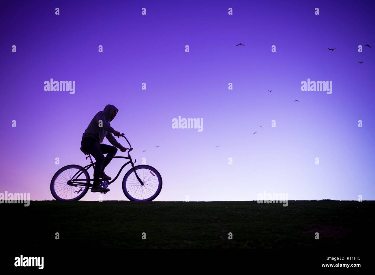 Silhouette of man in hoodie riding a beach cruiser bicycle against a glowing purple sky Stock Photo