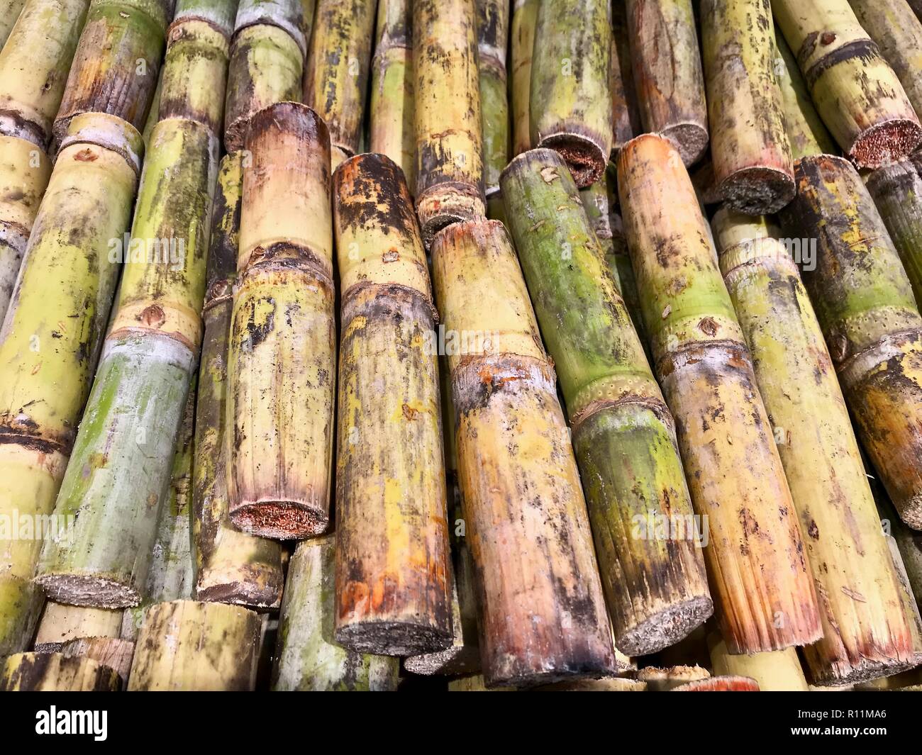 Fresh cut sugar cane in the Caribbean piled up for market Stock Photo