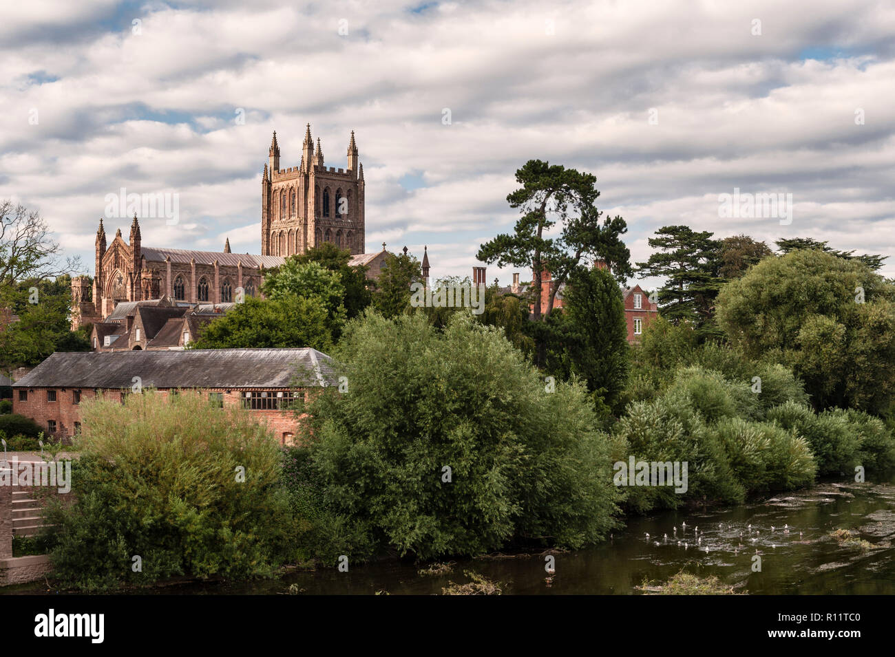 hereford dating