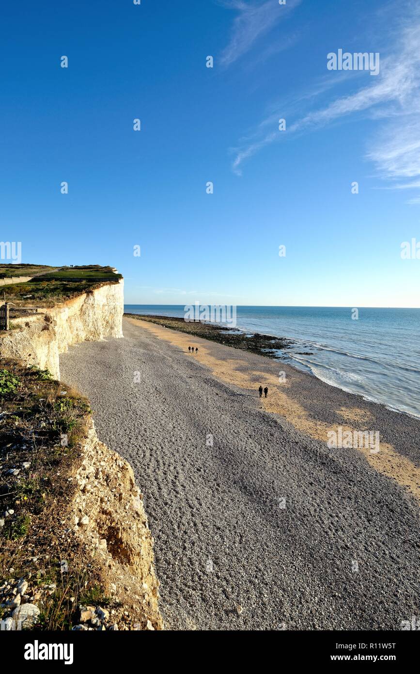 The eroding chalk coastline at Birling Gap East Sussex England UK Stock Photo
