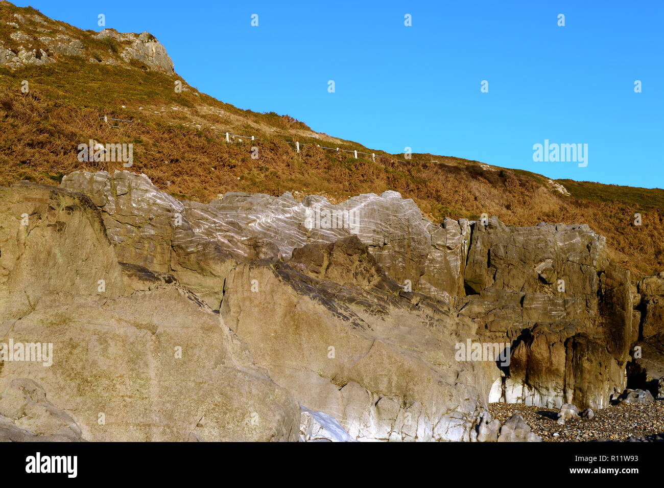 En echelons veins on fault line at Caswell bay Gower Wales Stock Photo