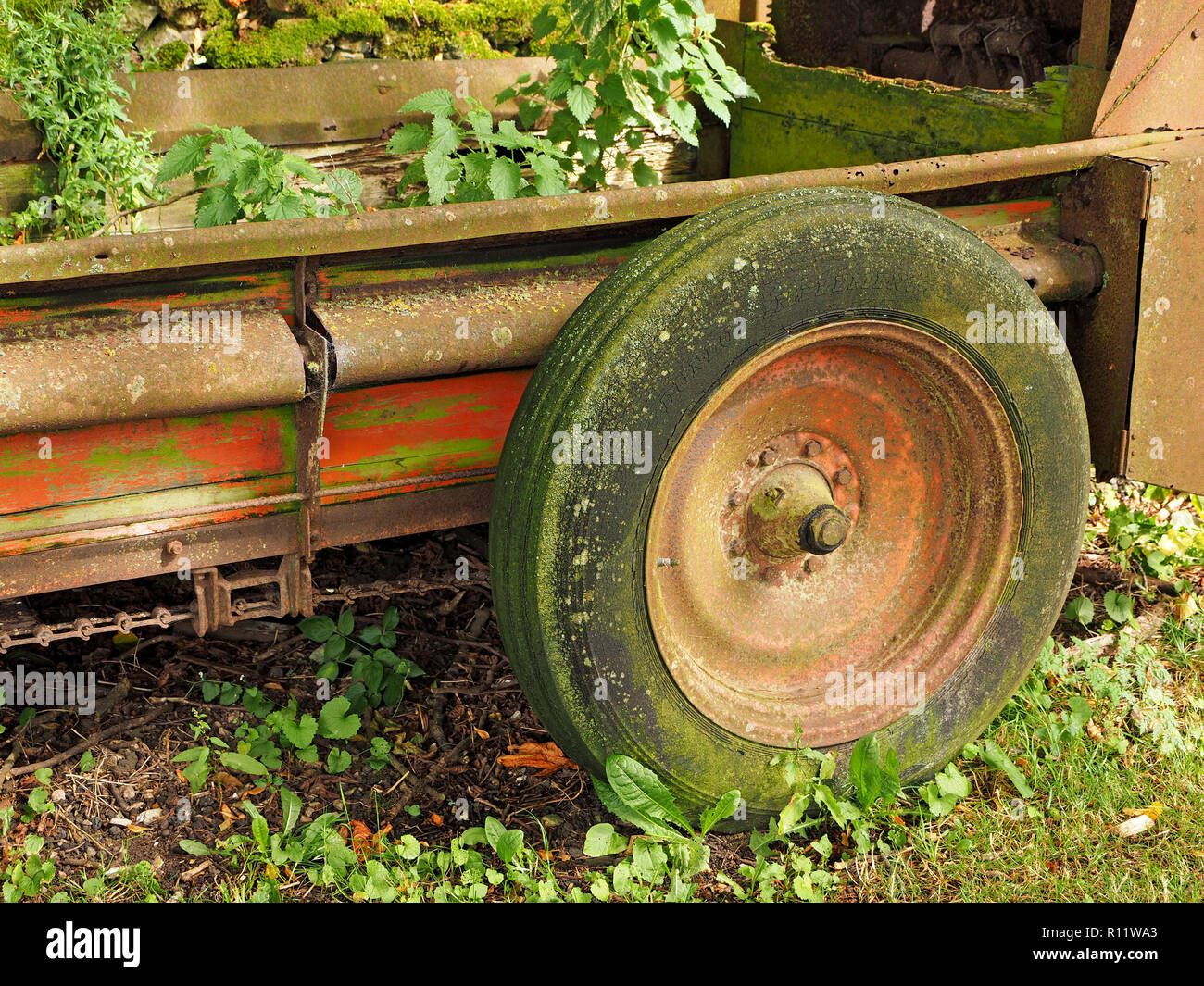 lichen and moss colonise the tyre and wheel of a long-abandoned farm trailer whilst nettles and weeds grow on the flatbed - Cumbria,England, UK Stock Photo
