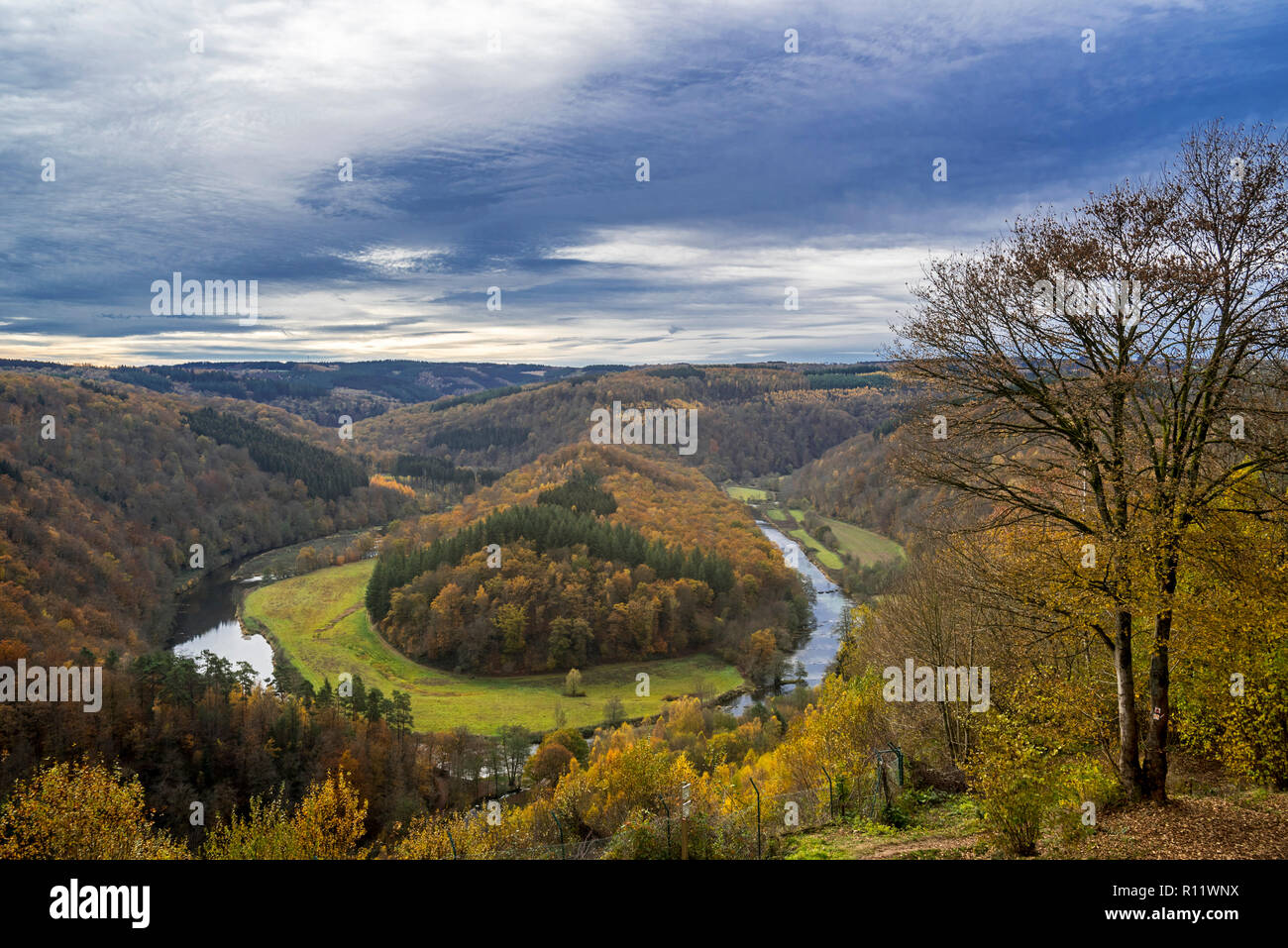 Tombeau du Géant in autumn, wooded hill inside meander of the river Semois at Botassart, Belgian Ardennes, Luxembourg, Wallonia, Belgium Stock Photo