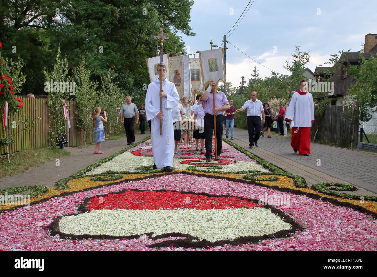 Priests and people during annual procession to celebrate Corpus Christi holiday, walk with cross and religious emblems on floral carpets in Spycimierz Stock Photo