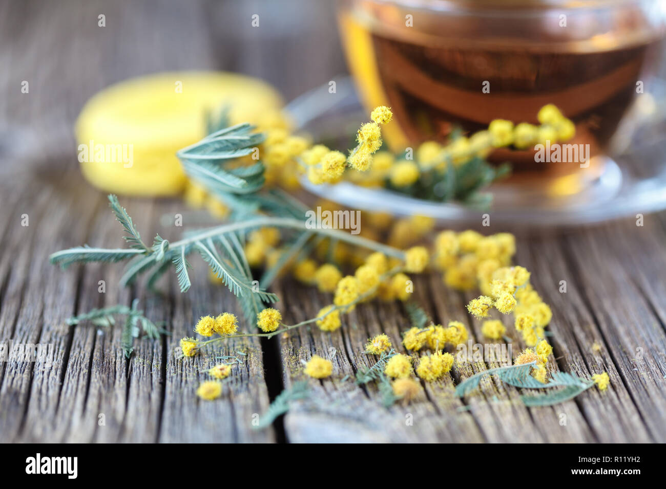 Spring flowers on rustic table with cup of tea Stock Photo