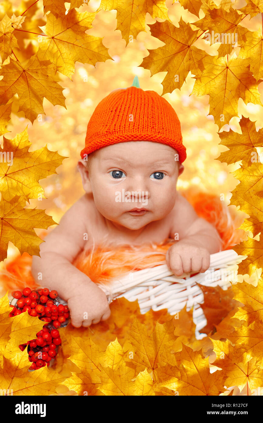 Autumn newborn. Autumn time scene. little  baby with red yellow maple leaves, berries, pumpkin, apples, harvest. Stock Photo