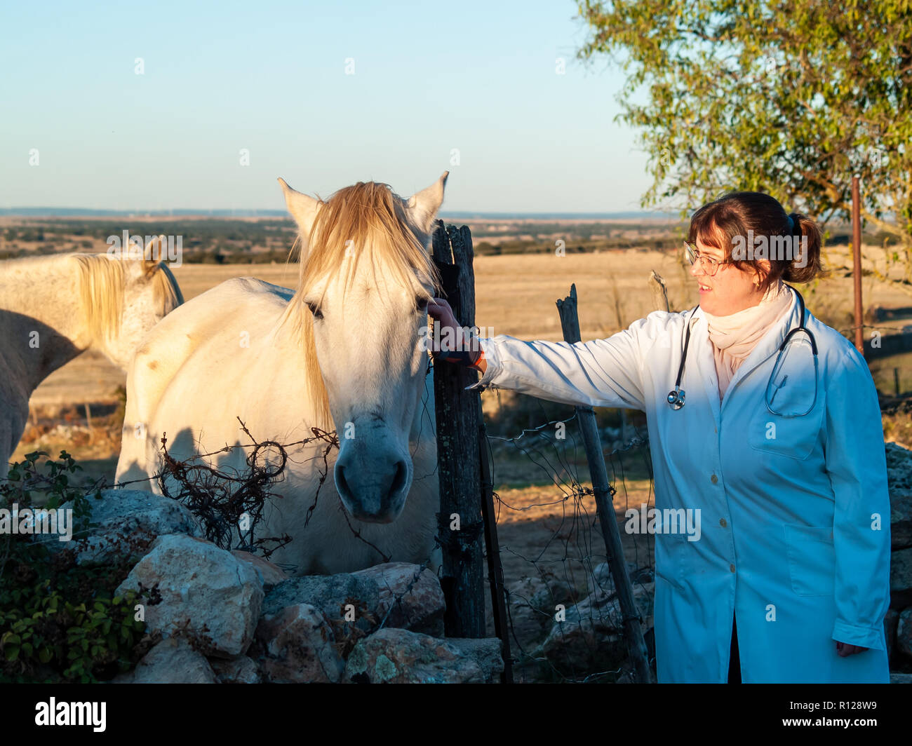 Vet with stethoscope horse hi-res stock photography and images - Alamy