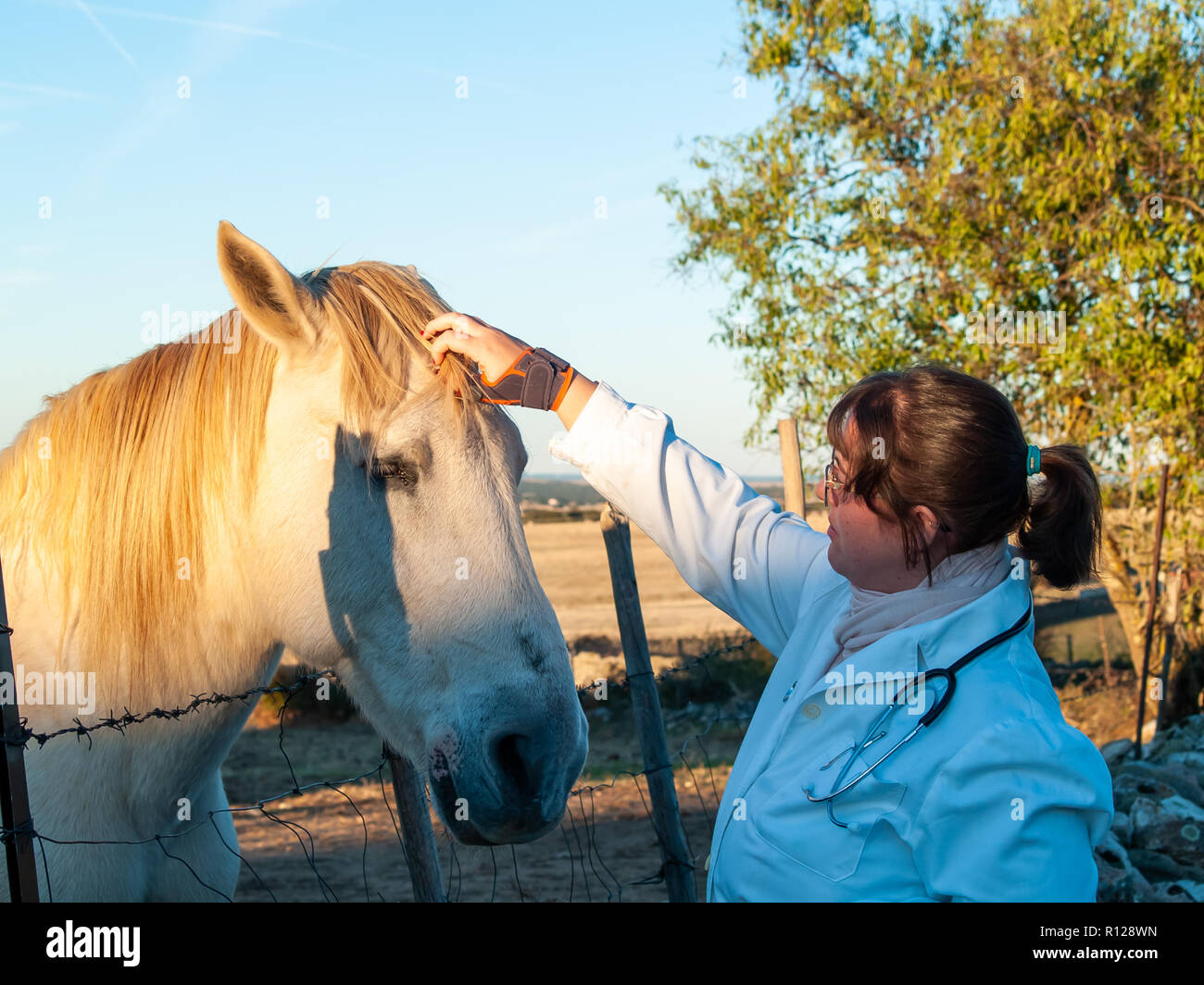 Vet with stethoscope horse hi-res stock photography and images - Alamy