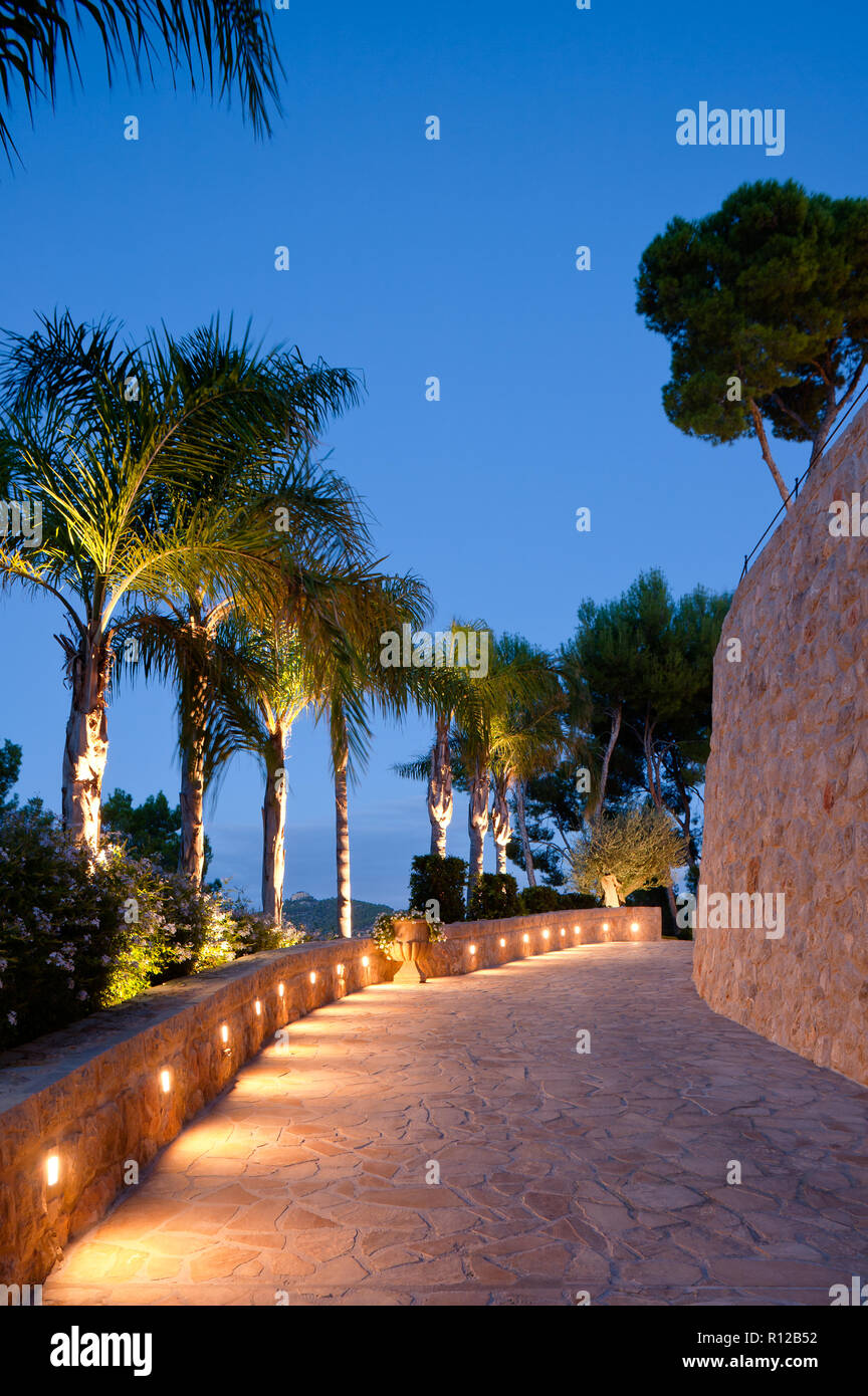 Lit footpath by palm trees Stock Photo