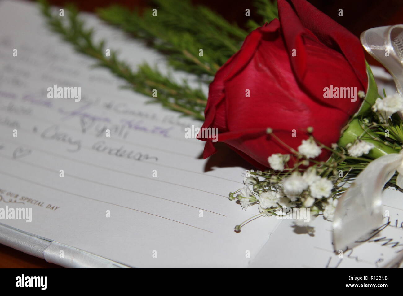 Wedding Rose and Guest Book Stock Photo