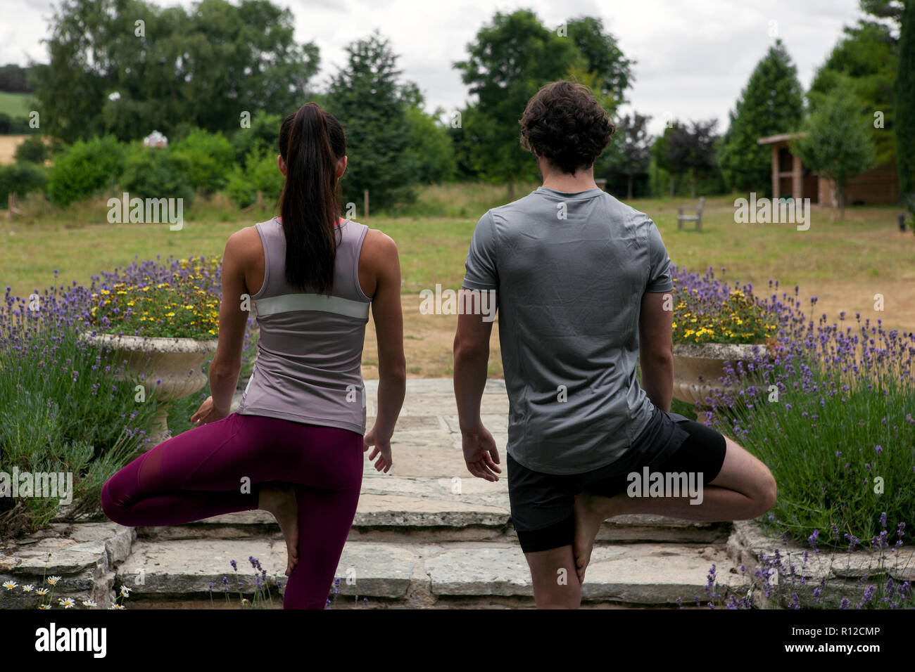 Man and woman practicing yoga in garden, rear view of tree pose Stock Photo