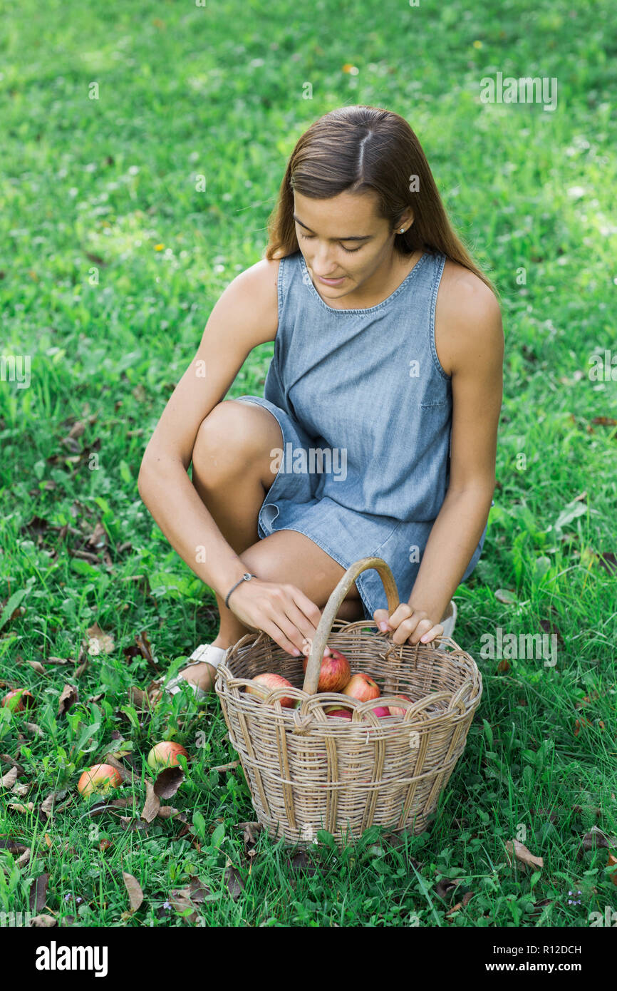 Woman picking up apples on grass Stock Photo