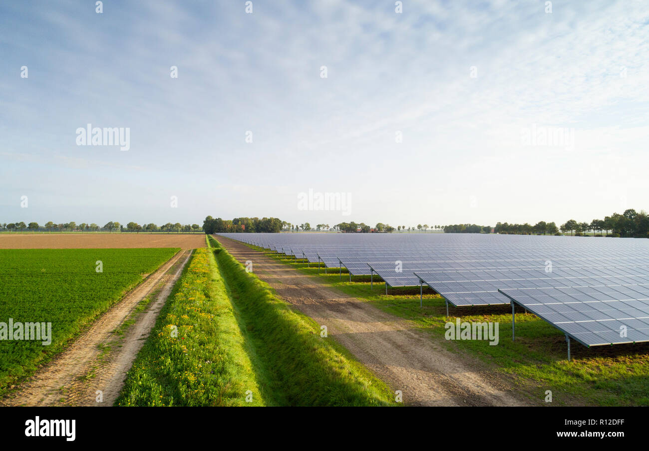 Solar farm, Noordoostpolder, Emmeloord, Flevoland, Netherlands Stock Photo