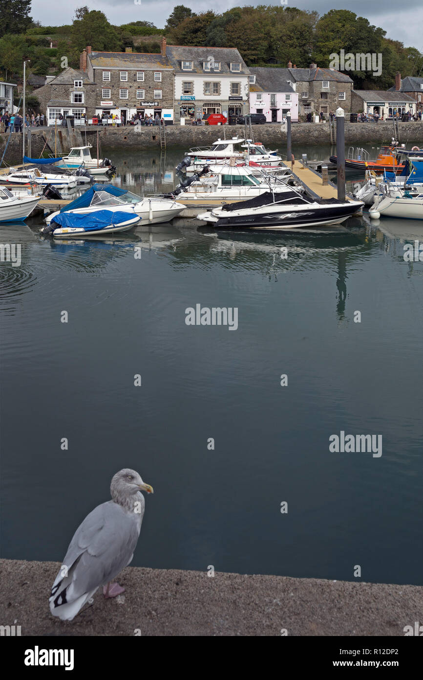 Padstow fishing boat hi-res stock photography and images - Alamy