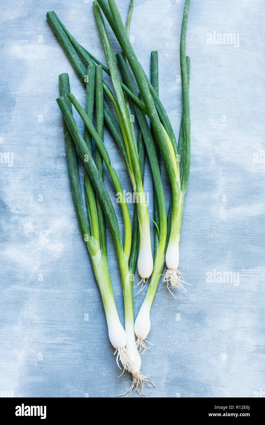 Fresh green onions Stock Photo