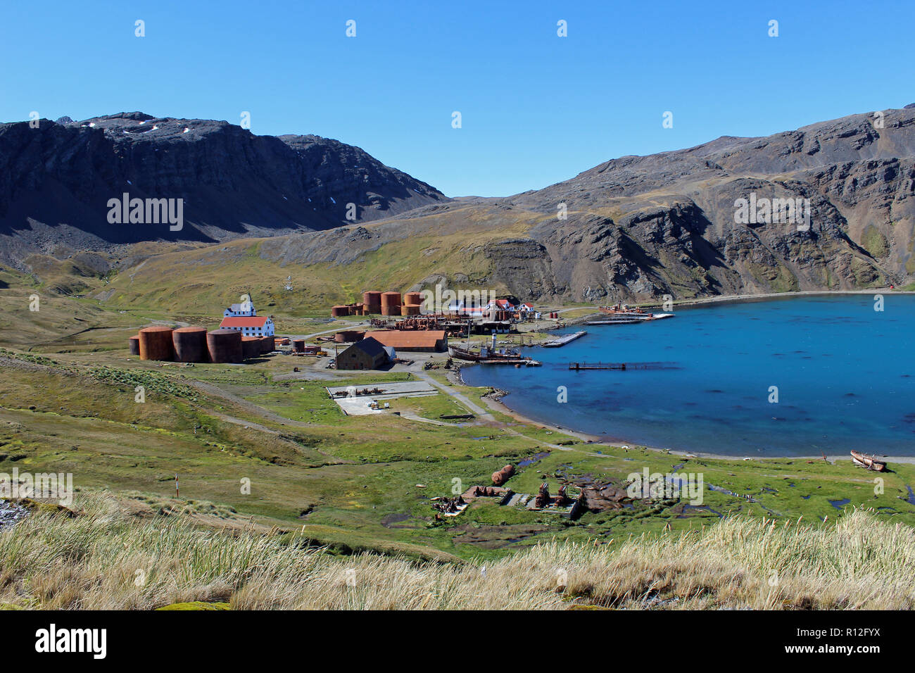 Grytviken, former whaling station at head of King Edward Cove, South Georgia, South Atlantic.There is a museum here. Ernest Shackleton is buried here. Stock Photo