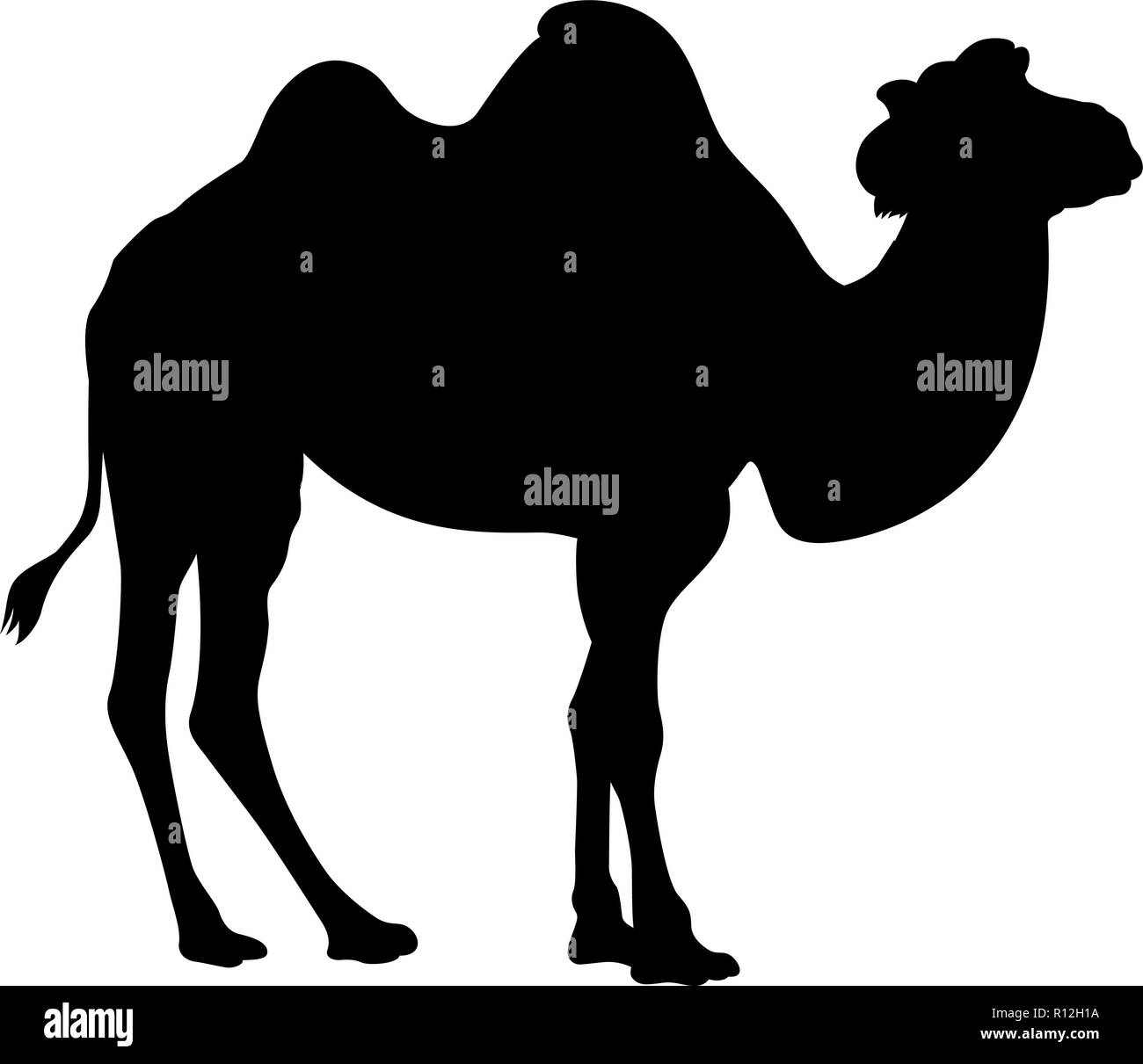 Vector silhouette of a camel isolated on white Stock Vector
