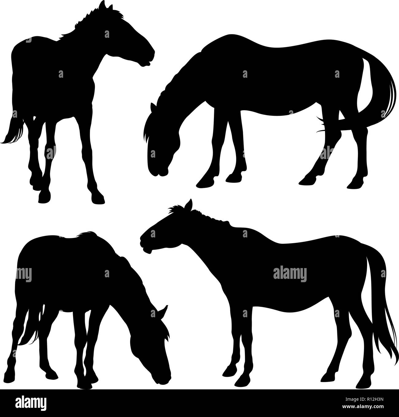 Vector silhouettes of horses isolated on white Stock Vector