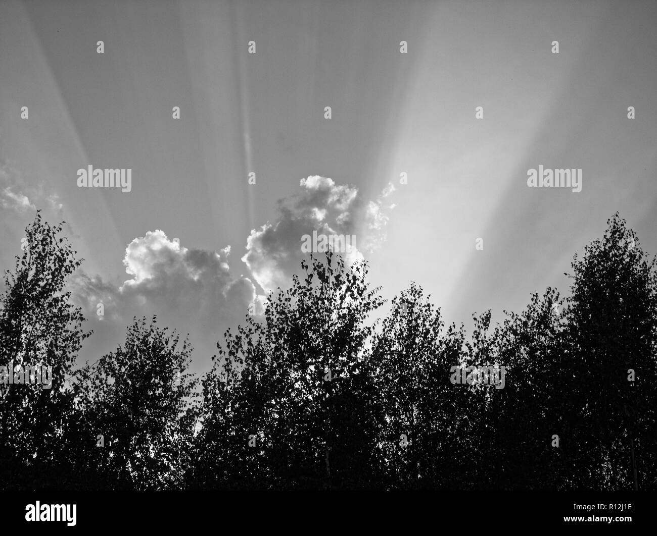 bright rays of the sun from behind the clouds, black and white photo Stock Photo