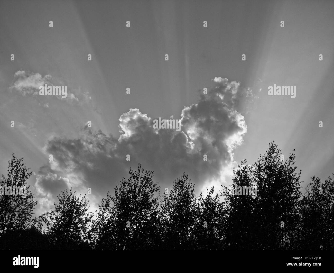 Black and white scenic photos hi-res stock photography and images - Alamy