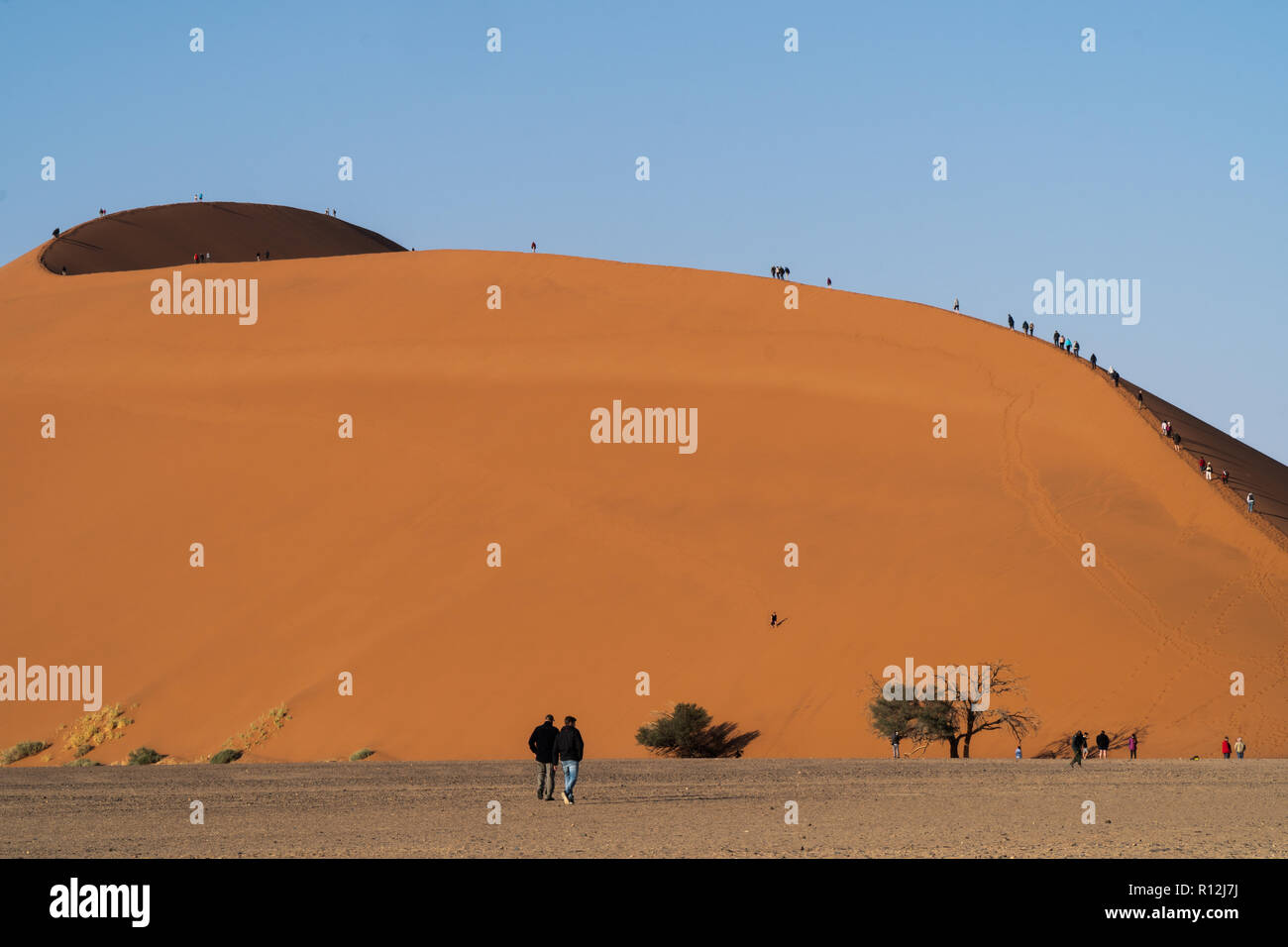 Tourists climbing sand dunes, Sossusvlei, Namib Desert, Namib-Naukluft Park, Hardap Region, Republic of Namibia Stock Photo