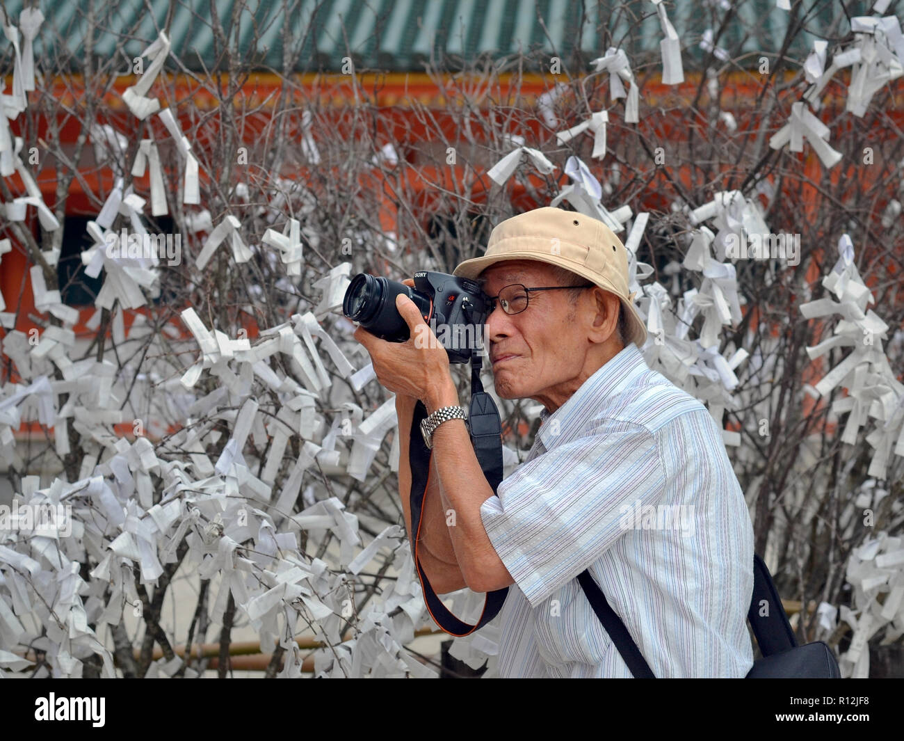 Elderly Japanese street photographer takes photos in front of the Tree of Good Fortune (omikuji) at Kyoto's Heian Shrine. Stock Photo