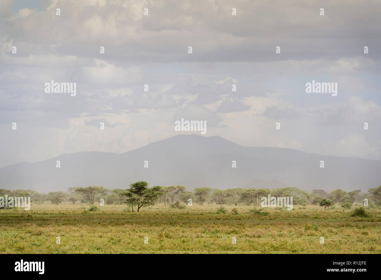 Ngorongoro crater seen from the plains in the Ngorongoro conservation area, Tanzania. Stock Photo