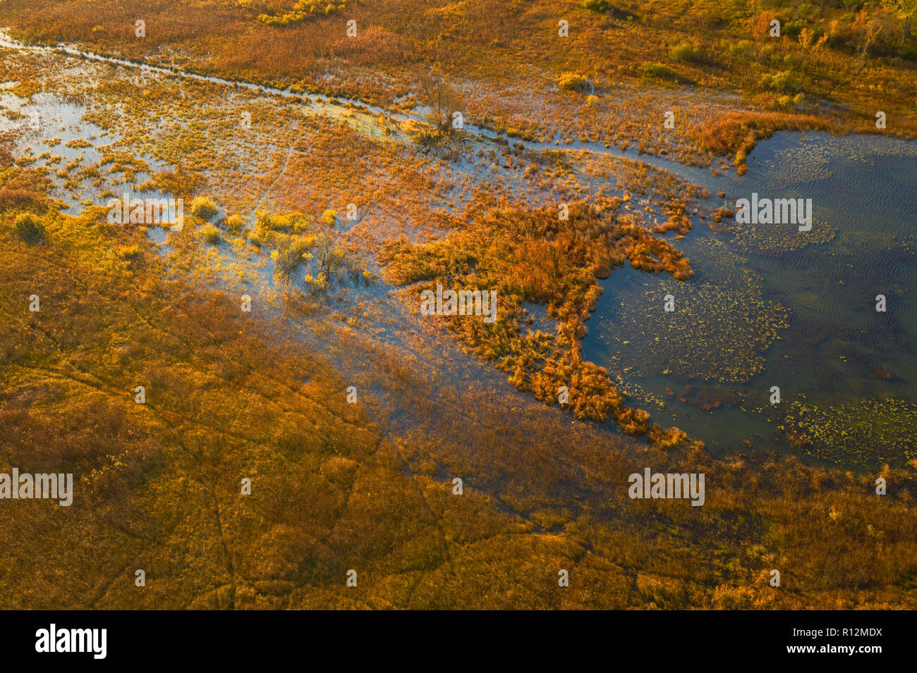 Prairie Fen at Davis Lake, North Shiawassee Basin Preserve, Michigan