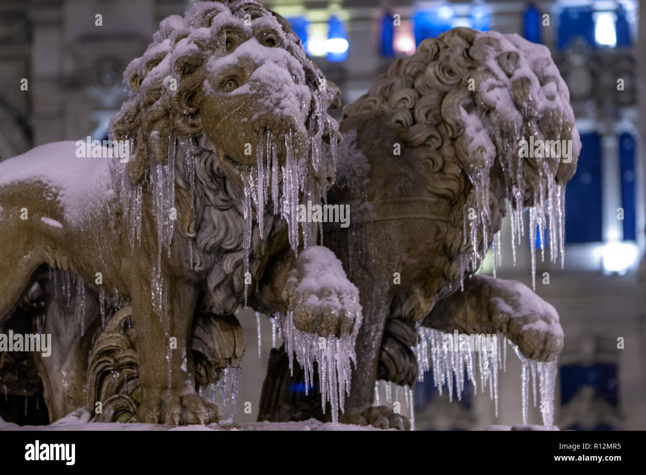 Cibeles fountain lions in the Plaza de Cibeles in winter with snow and icicle. The plaza is a landmark of Madrid, Spain Stock Photo