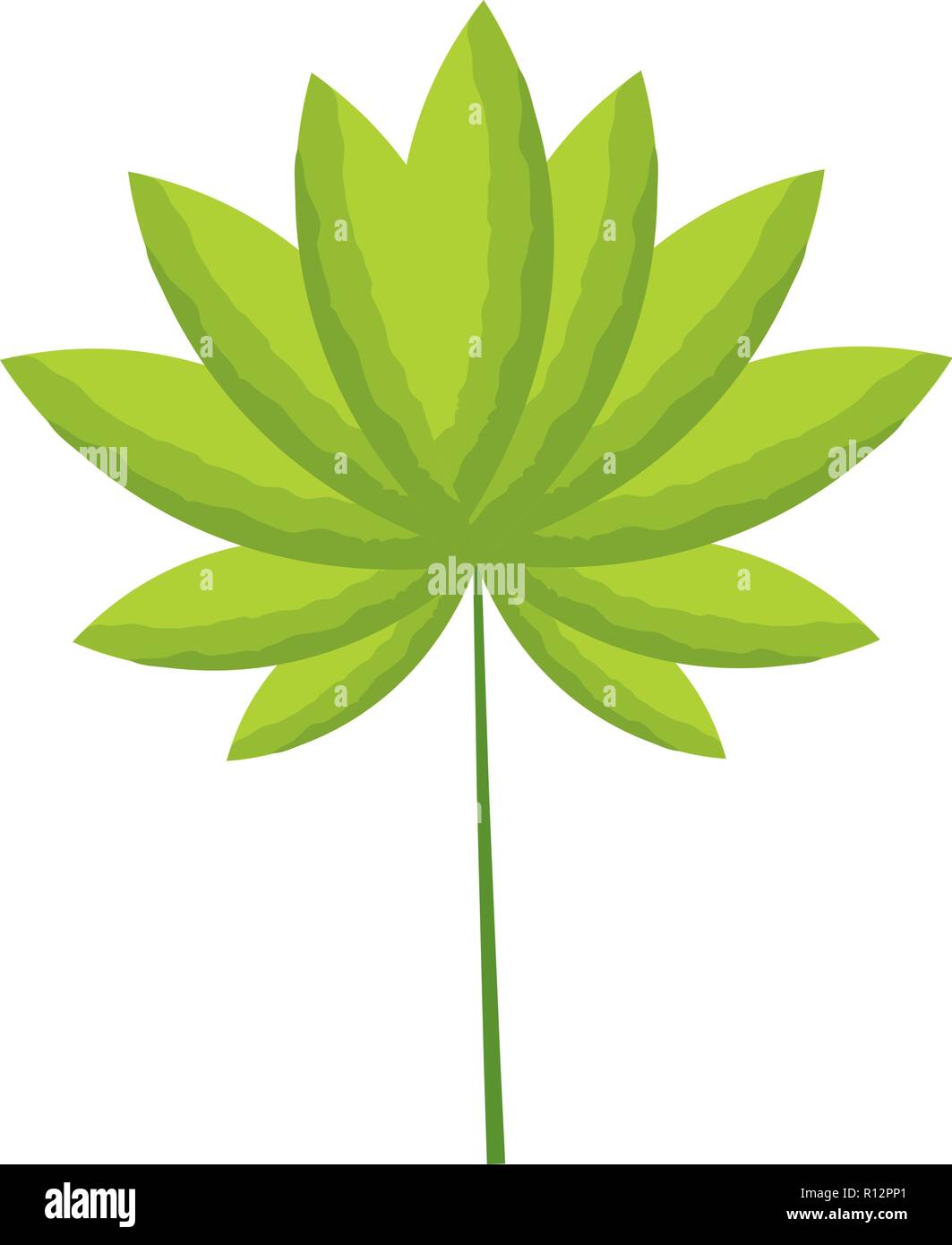 leaves tropical on white background vector illustration Stock Vector ...