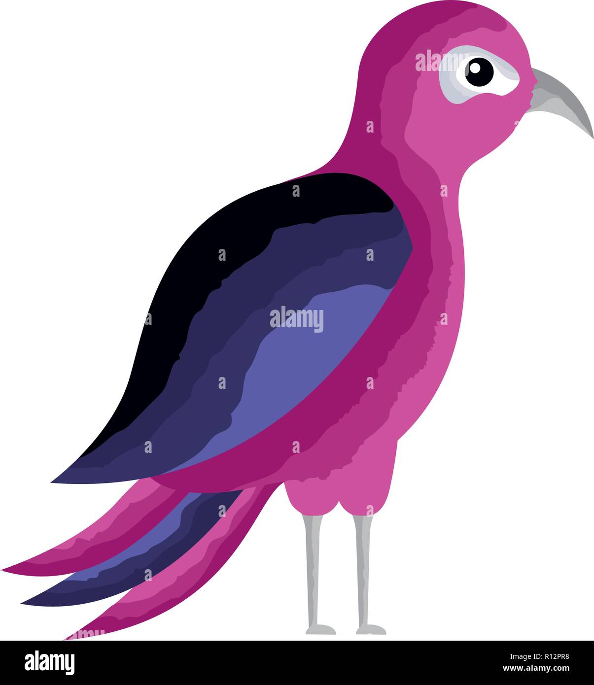 bird tropical on white background vector illustration Stock Vector ...