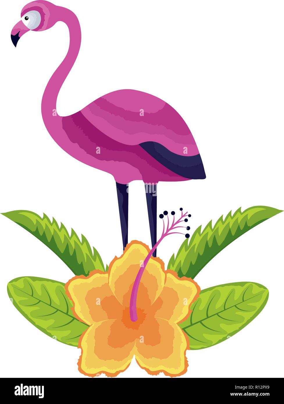 exotic flamingo bird flower tropical vector illustration Stock Vector ...