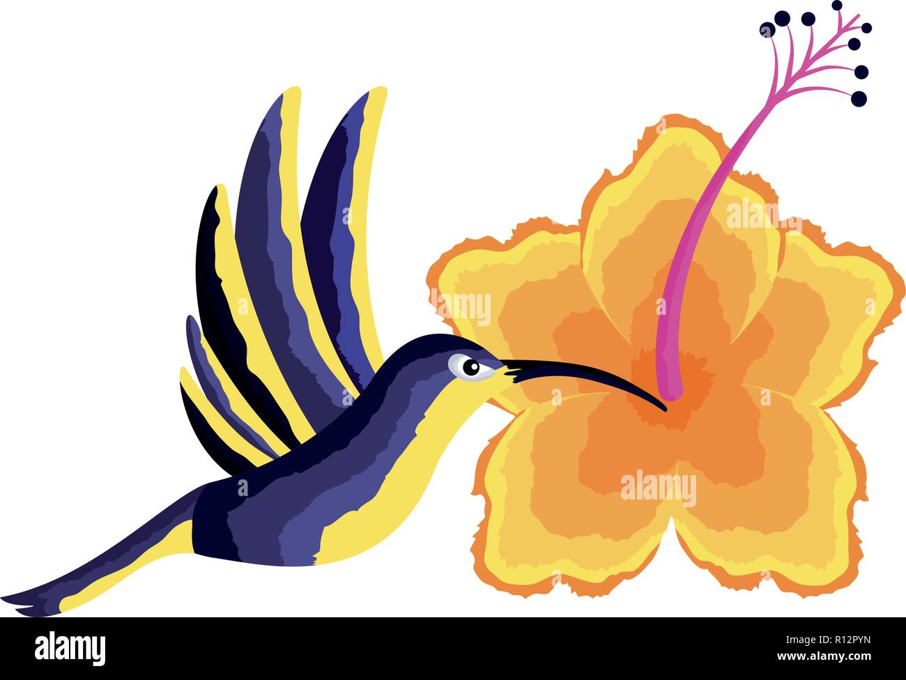 hummingbird flying flower nature tropical vector illustration Stock Vector