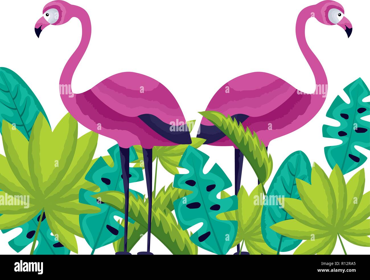 exotic flamingos bird leaves tropical vector illustration Stock Vector ...