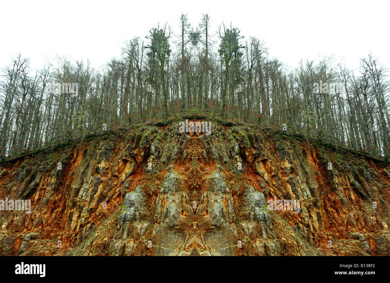 Abstract view of sick tree in diseased forest. Diseased forests and pollution of nature concept Stock Photo