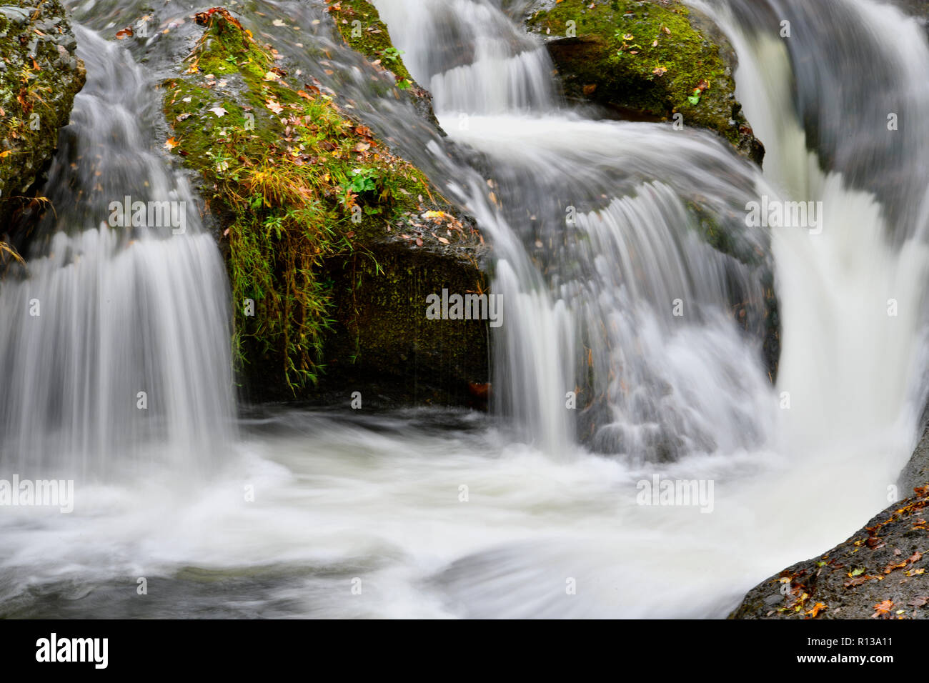 A close up of a waterfall on a swift flowing creek in a rural area near Sussex New Brunswick Canada. Stock Photo