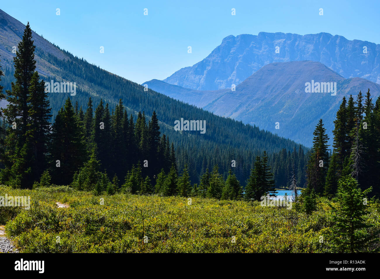 summer scenery on one of the many hiking trails in Kananaskis country, Alberta, Canada Stock Photo