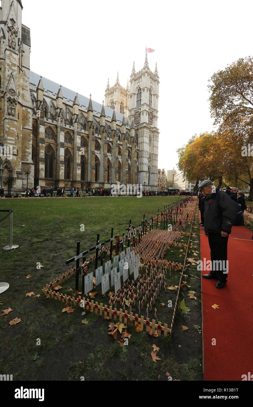 Remembrance tributes are planted in Fields of Remembrance, with each tribute carrying a personal message to someone who lost their life in the Service Stock Photo